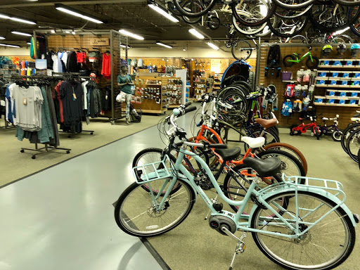 Camping Store «REI», reviews and photos, 200 Ridge Pike #115, Conshohocken, PA 19428, USA