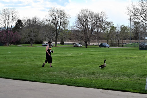 Park «Bear Creek Park», reviews and photos, 3550 S Raleigh St, Denver, CO 80236, USA