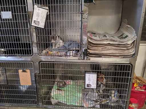 Second Chance Animal Shelter Of Selma