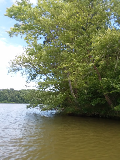 Bakery «Ole Country Store & Bakery», reviews and photos, 18019 Country Store Dr, Culpeper, VA 22701, USA