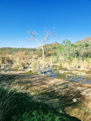 Horseback Riding Service «Spur Cross Stables», reviews and photos, 44029 N Spur Cross Rd, Cave Creek, AZ 85331, USA