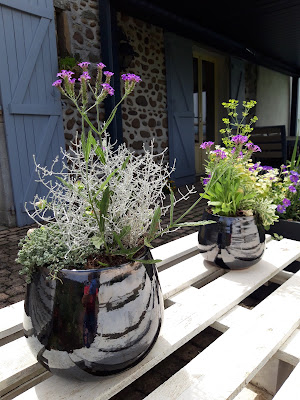 Synthésie florale à Saucède