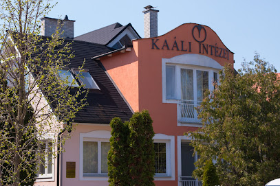 Kaáli Intézet Győr