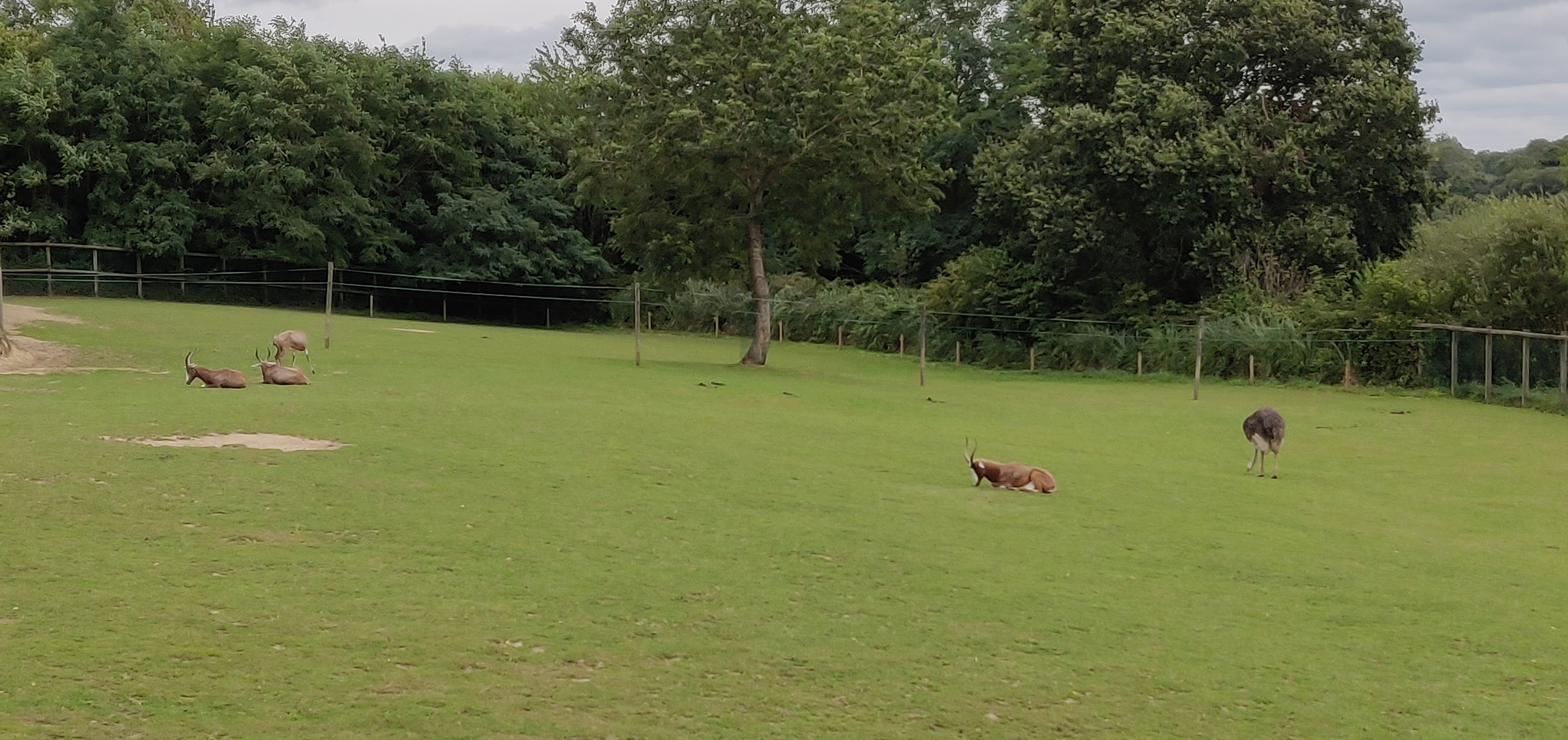 Photo n° 4 de l'avis de CHRISTIAN.A fait le 16/08/2019 à 16:59