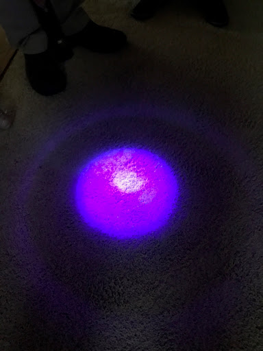 Carpet Cleaning Service «KG Cleaning Service Inc.», reviews and photos, 30 Industrial Park Rd #200, Dawsonville, GA 30534, USA