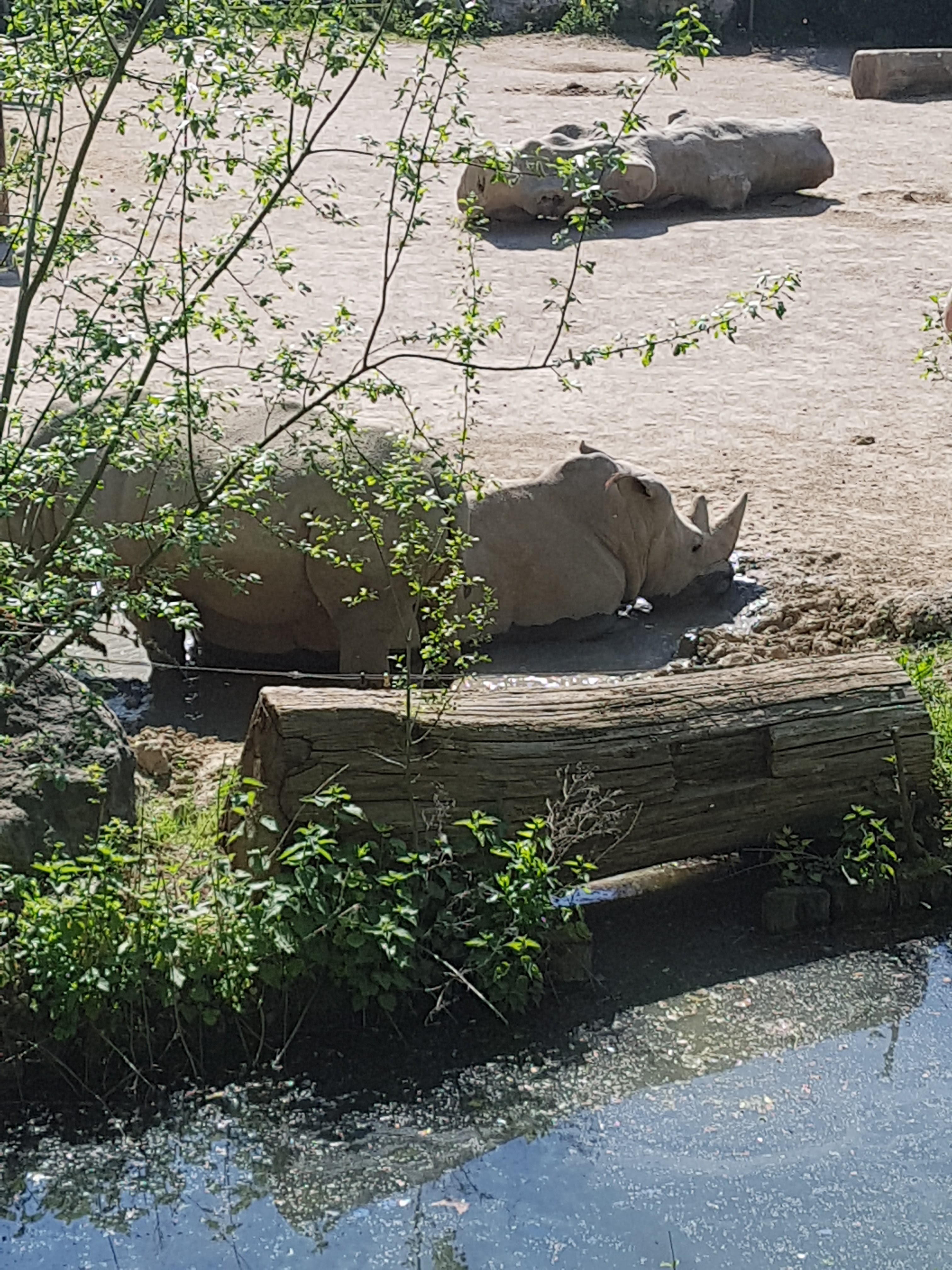 Photo n° 13 de l'avis de Celia.a fait le 30/04/2019 à 08:20