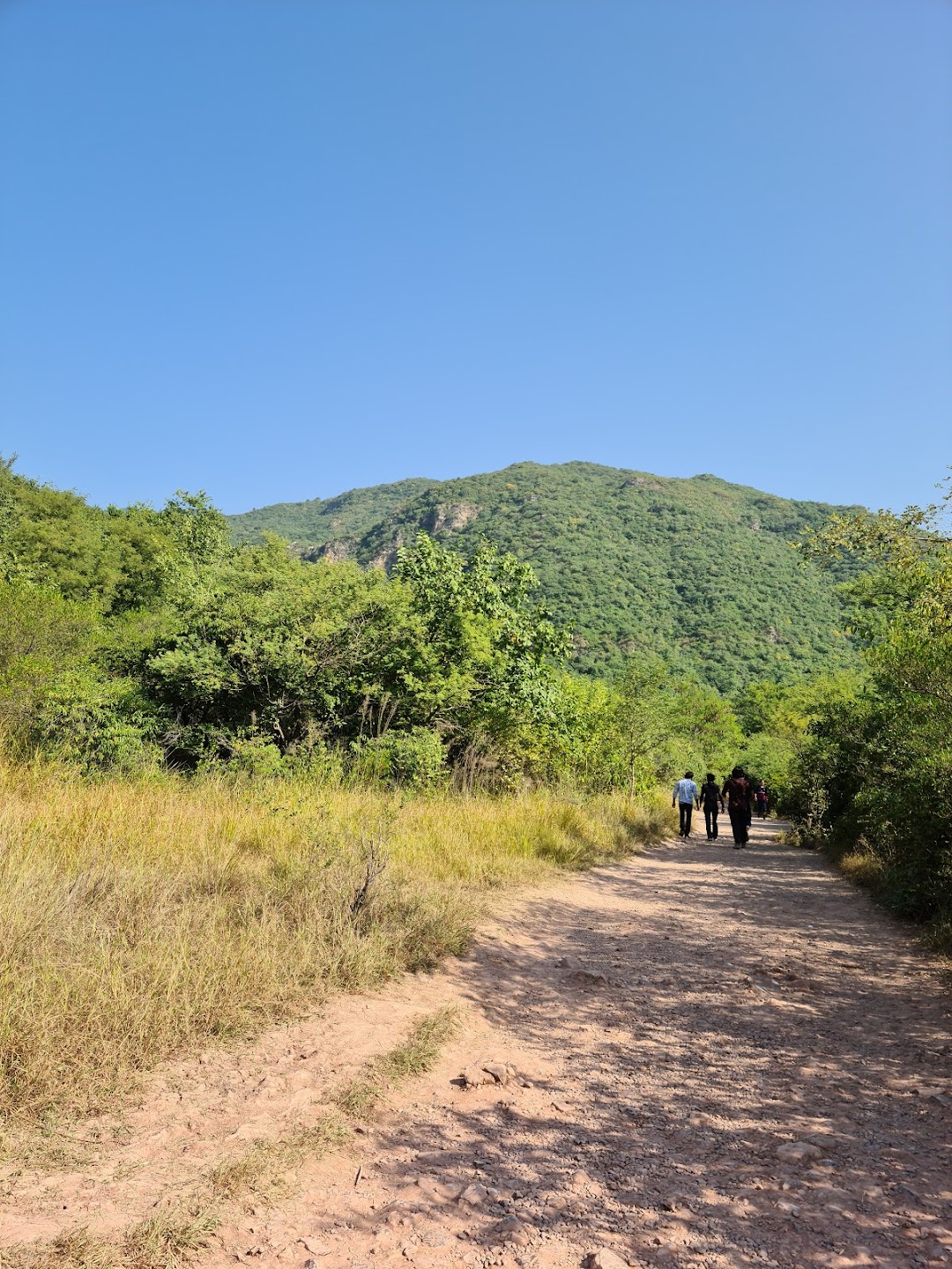 Hiking track 5- Dara Janglan