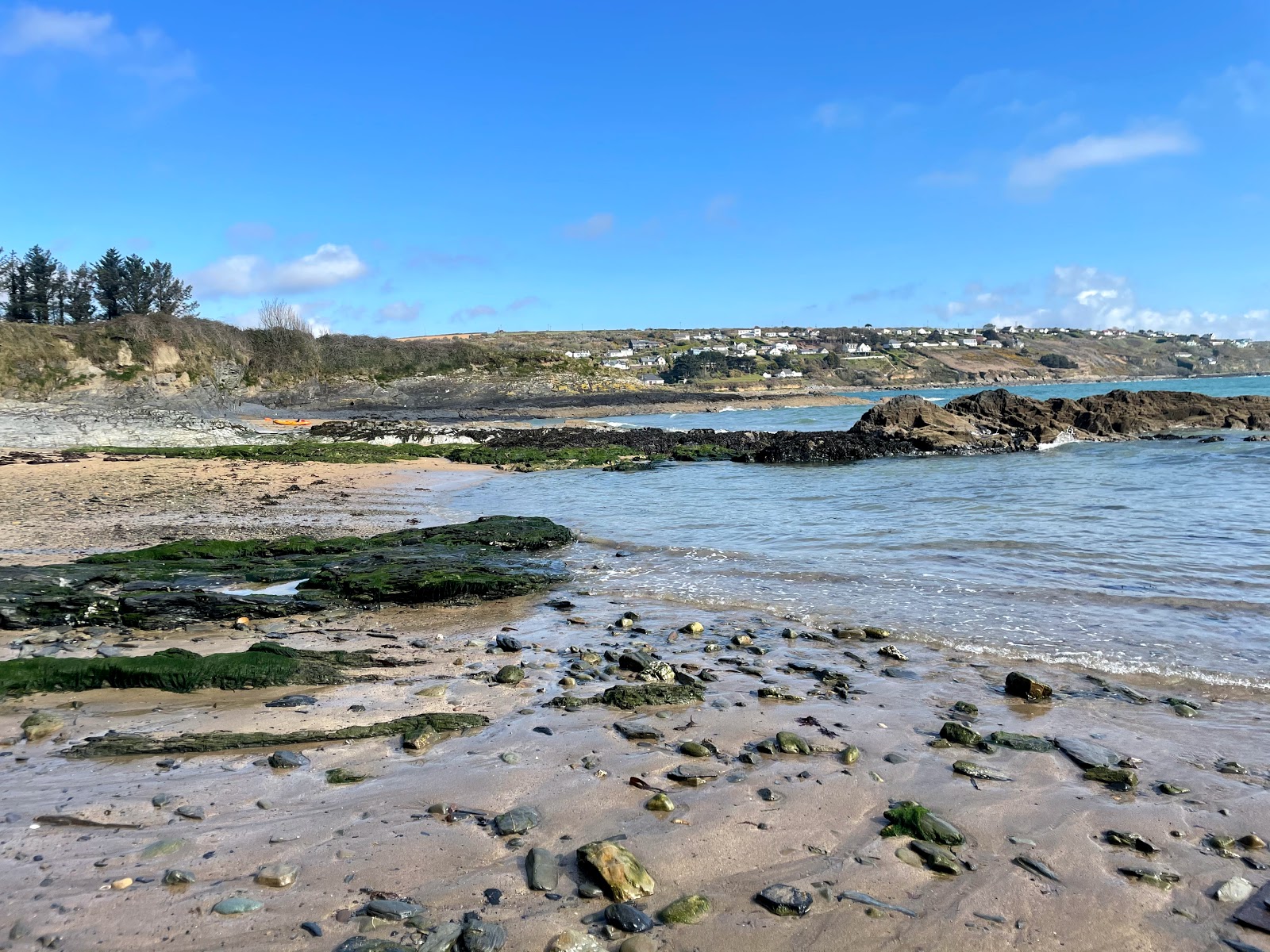 Photo de Ringabella Bay Beach zone sauvage
