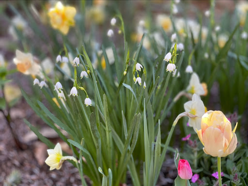 Monument «Light of the World Garden at Ashton Gardens», reviews and photos, 3900 Garden Dr, Lehi, UT 84043, USA
