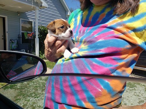 635 S Waverly Rd, Lansing, MI 48917, USA