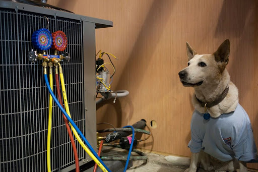 Air conditioning repair in Orlando