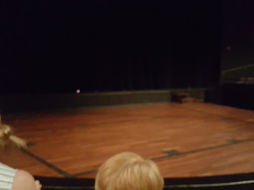 Performing Arts Theater «Grover C. Maxwell Performing Arts Theatre», reviews and photos, 2500 Walton Way, Augusta, GA 30904, USA