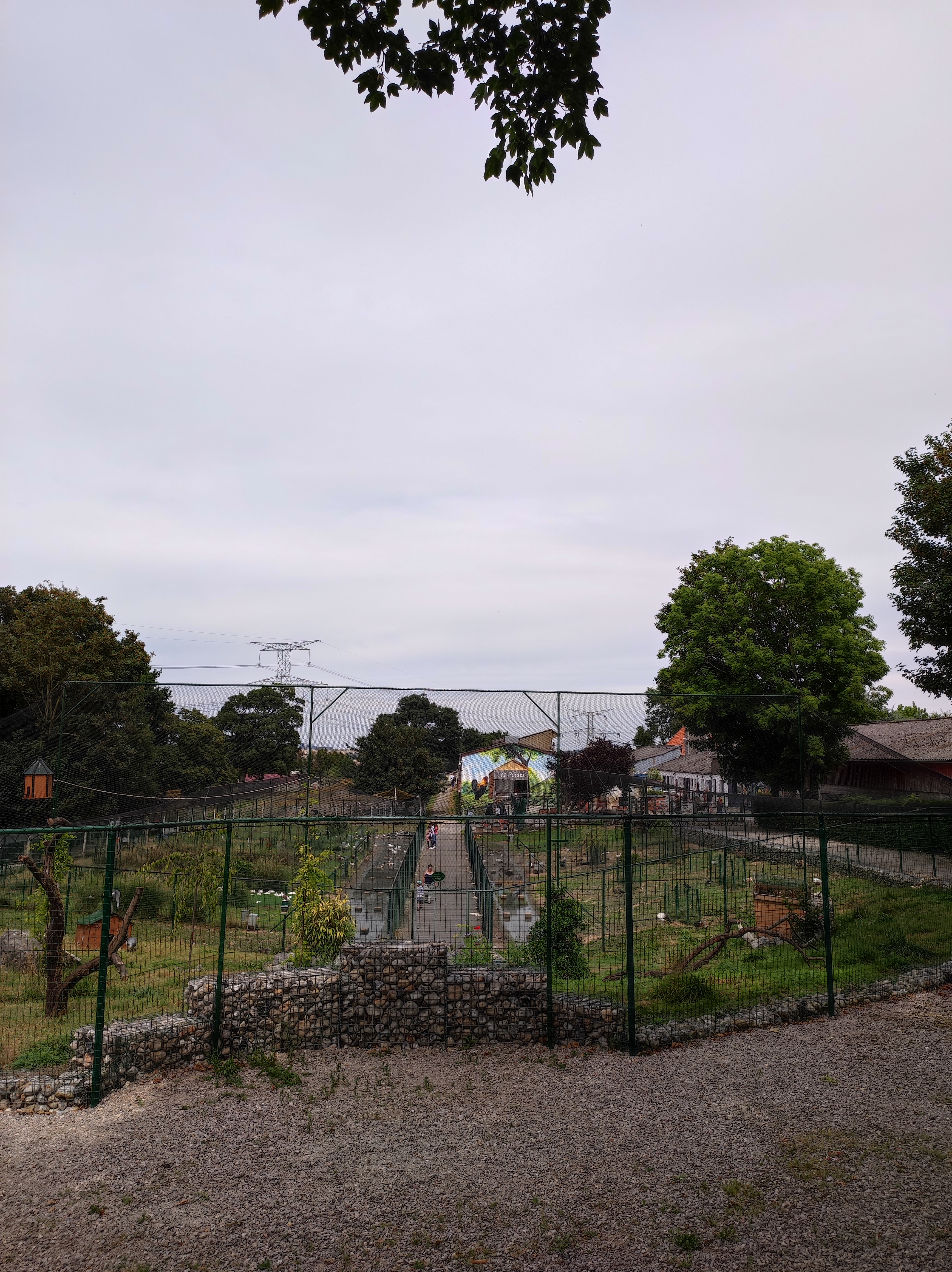 Photo n° 3 de l'avis de Marie.a fait le 29/07/2022 à 12:07