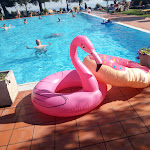 Photo n°16 de l'avis de silvia.a fait le 21/07/2018 à 10:49 sur le  Residence San Michele à Costermano sul Garda