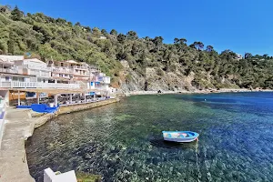 Plage de l'Anse de Méjean image