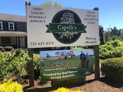 Capelli Farms LLC