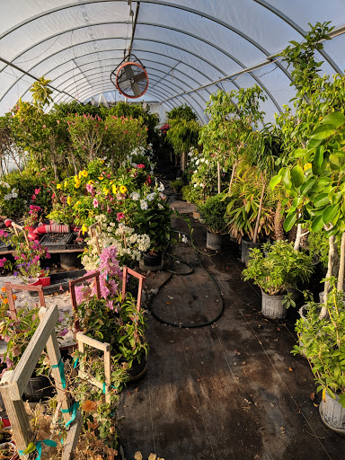 Florist «Little Eden Plantscaping», reviews and photos, 15550 W 72nd Ave, Arvada, CO 80007, USA