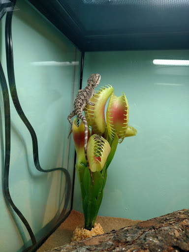 Pet Supply Store «PetSmart», reviews and photos, 3132 Vestal Pkwy E, Vestal, NY 13850, USA