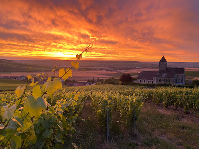 Champagne Pierre Gimonnet et Fils (SAS) à Cuis