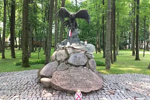 Monument Józefa Kurasia "Fire" image