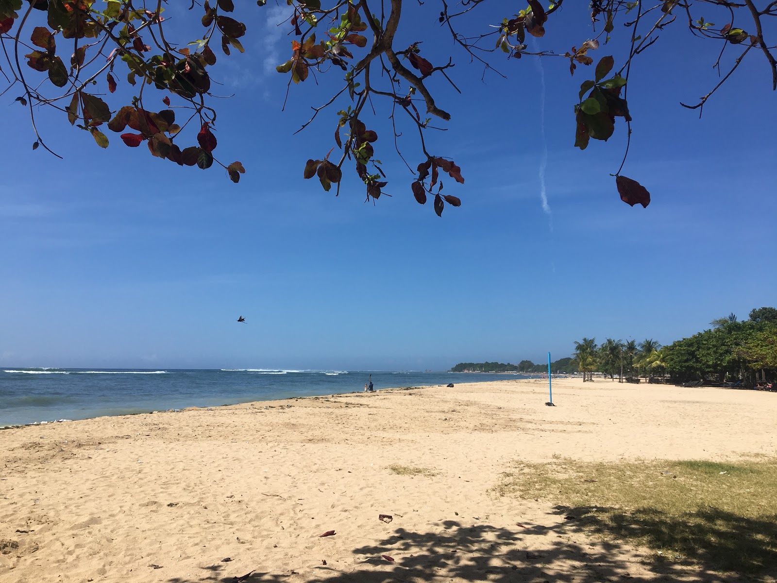 Zdjęcie Sanur Beach z poziomem czystości wysoki