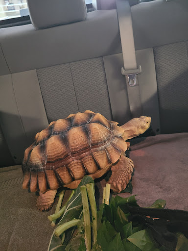 1 Taft Ct, Rockville, MD 20850, USA