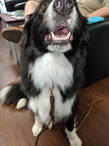 Subaru Dealer «Subaru of Dayton», reviews and photos, 995 Miamisburg Centerville Rd, Dayton, OH 45459, USA