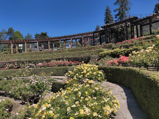 Berkeley Rose Garden