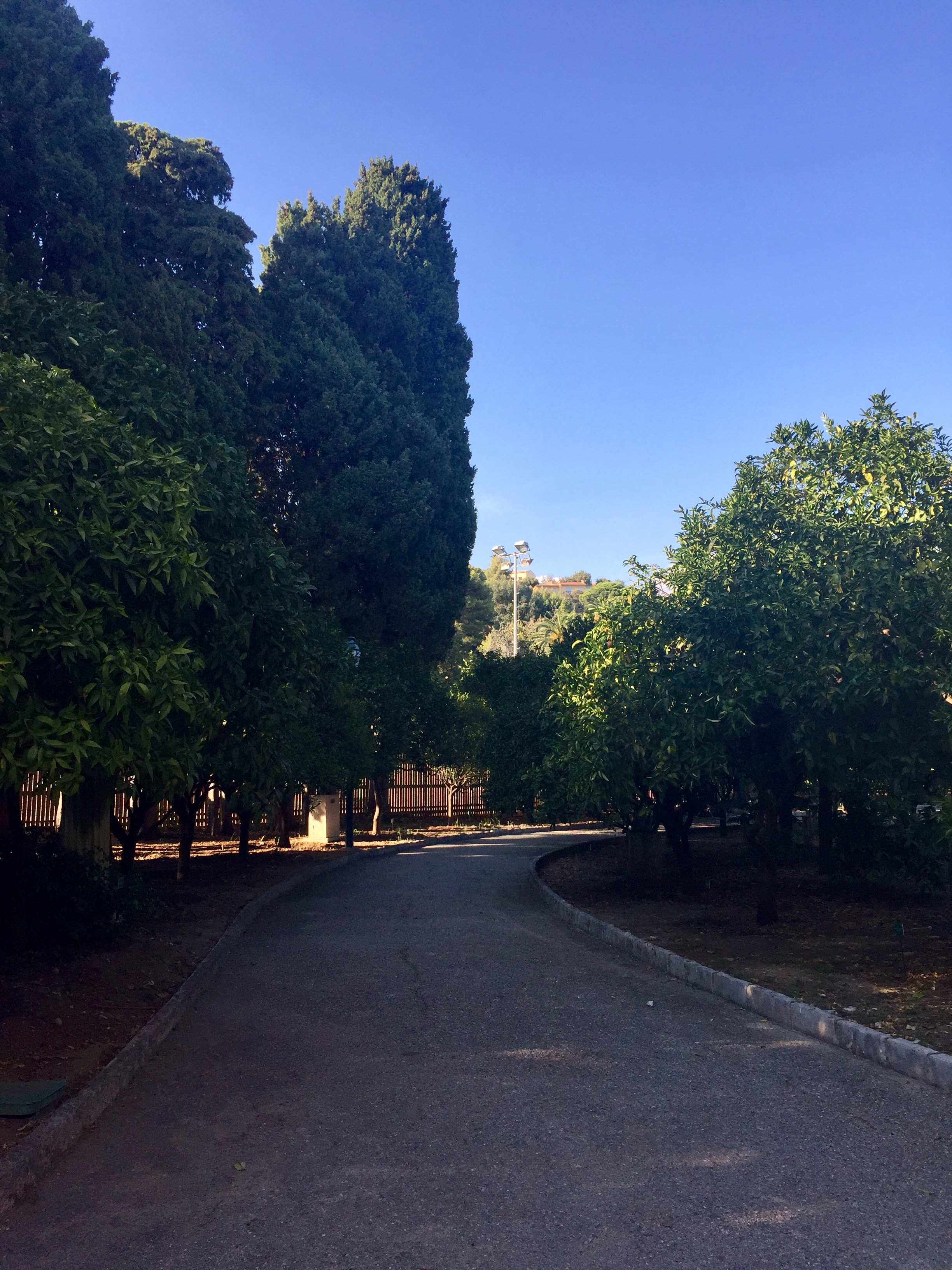 Photo n° 16 de l'avis de khaled.o fait le 05/09/2017 à 16:14