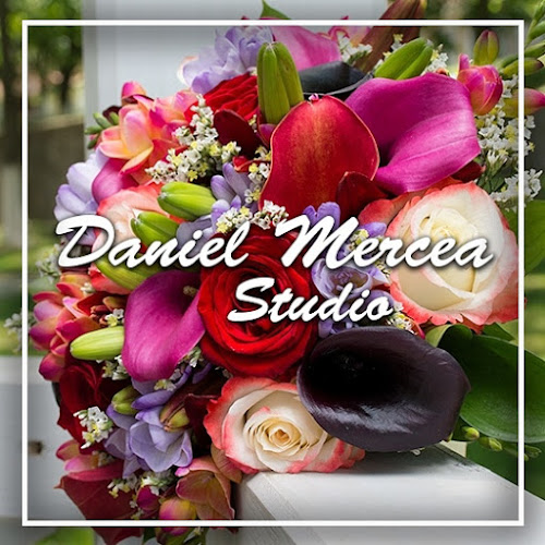 Opinii despre Daniel Mercea Studio în <nil> - Fotograf