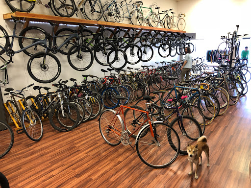 Bicycle Store «Sprockets Bicycle Shop», reviews and photos, 231 W Hickory St, Denton, TX 76201, USA