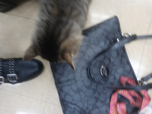 Pet Store «Feeders Supply», reviews and photos, 4921 Dixie Hwy a, Louisville, KY 40216, USA