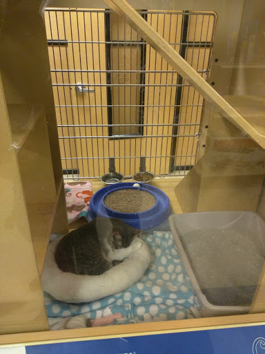 Pet Supply Store «PetSmart», reviews and photos, 47142 Michigan Ave, Canton, MI 48188, USA