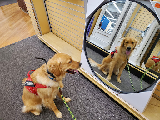 Dog Trainer «Off Leash K9 Training, Charlottesville», reviews and photos, 8782 Seminole Trail, Ruckersville, VA 22968, USA