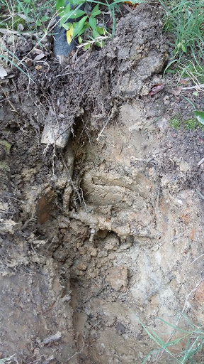 Plumber «A+ Express Drain Cleaning & Plumbing», reviews and photos, 4212 Romaine St, Greensboro, NC 27407, USA