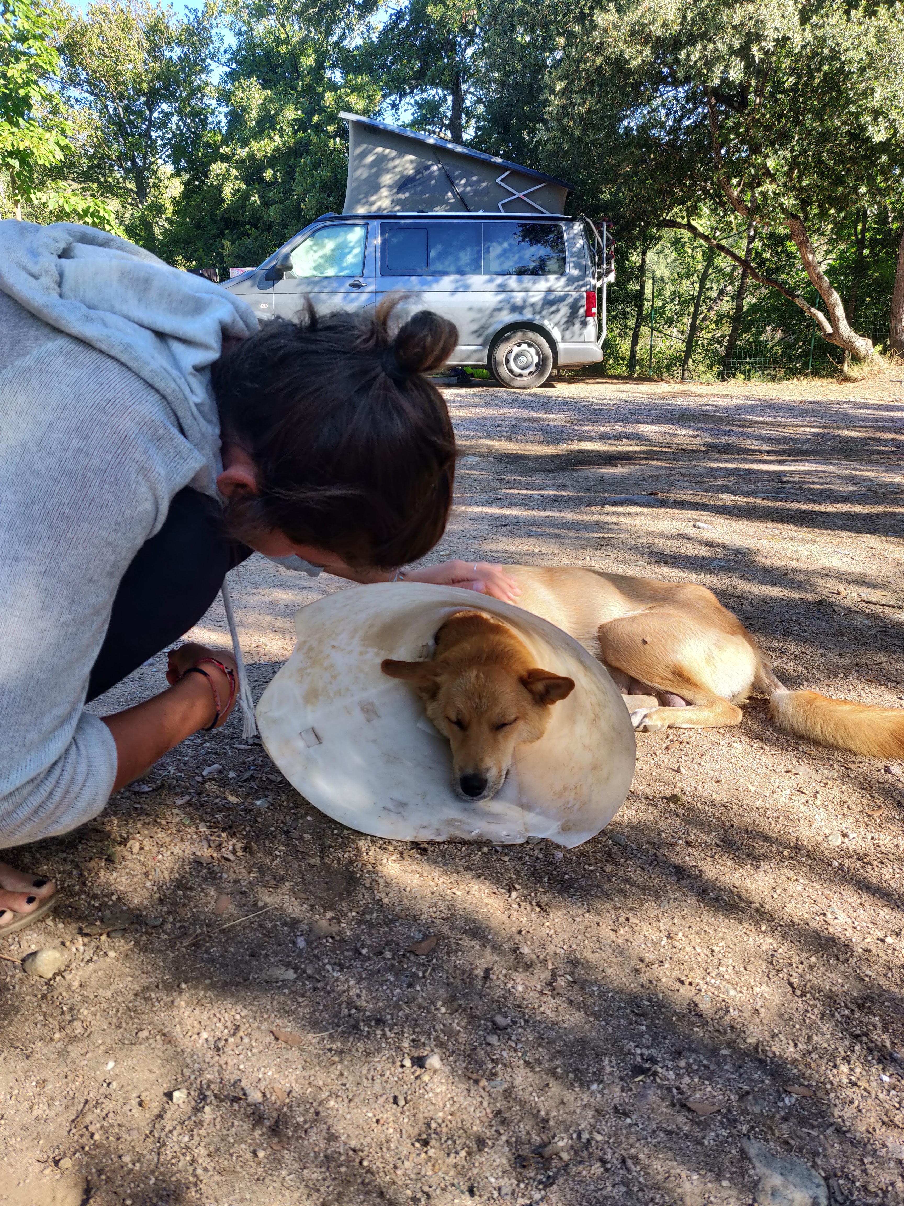 Photo n° 1 de l'avis de Lukas.l fait le 28/08/2018 à 19:21