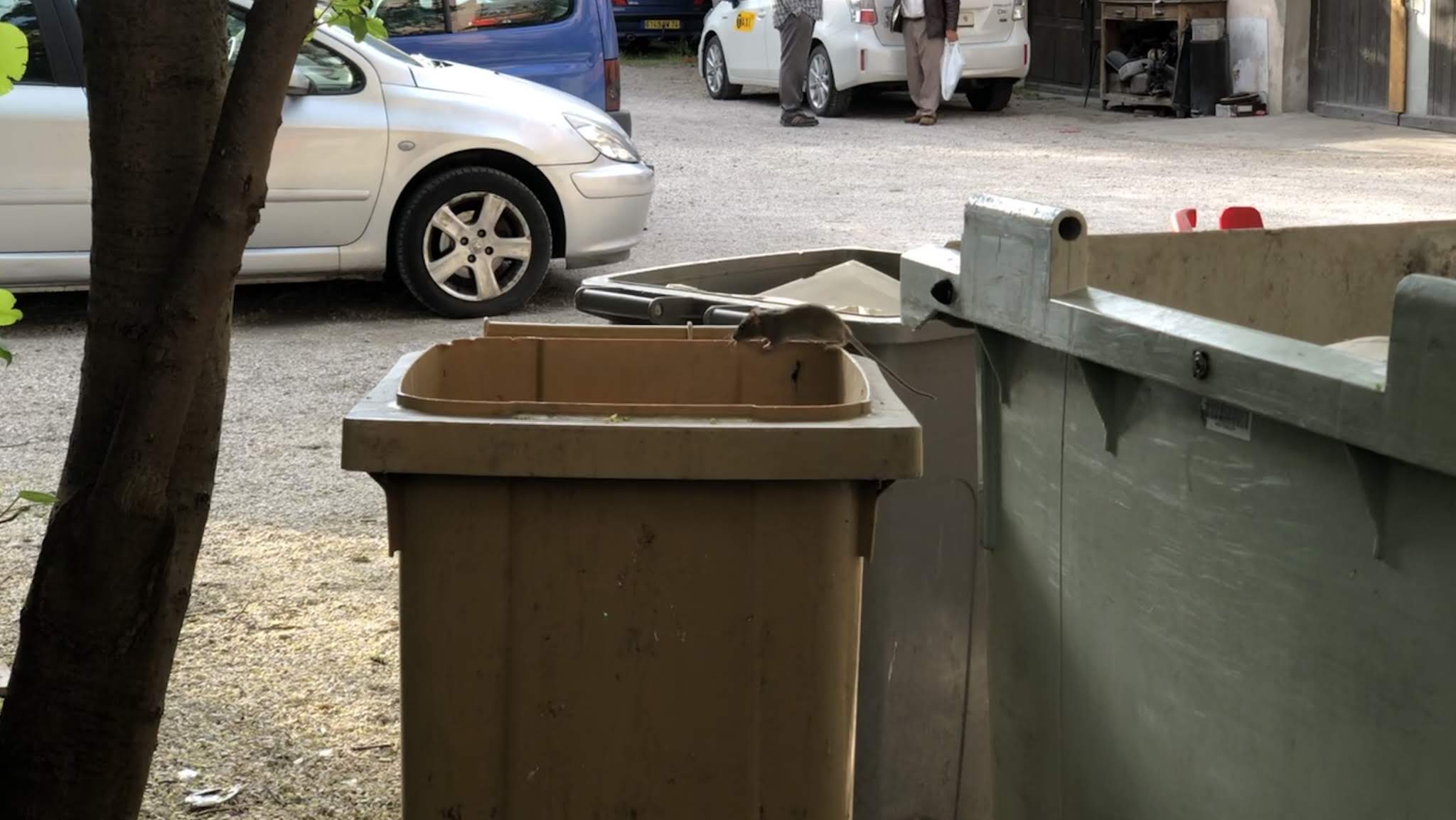 Photo n° 2 de l'avis de Aziz.a fait le 30/05/2019 à 11:15