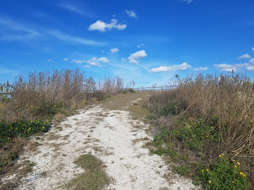 Nature Preserve «Cockroach Bay Aquatic Preserve», reviews and photos, 3839 Gulf City Rd, Ruskin, FL 33570, USA