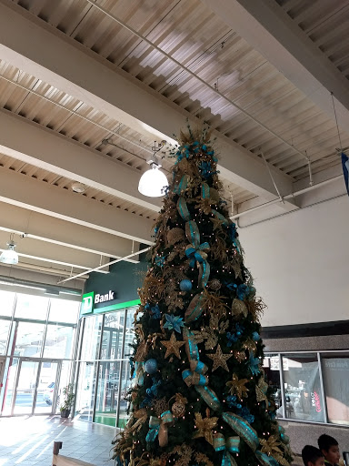 Shopping Mall «Center City Mall», reviews and photos, 301 Main St, Paterson, NJ 07505, USA