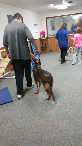 Pet Supply Store «All Pet & Equine Supply», reviews and photos, 1120 Porter Wagoner Blvd, West Plains, MO 65775, USA