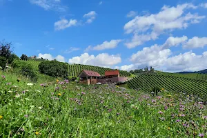 Vino Valdhuber, Apartments image