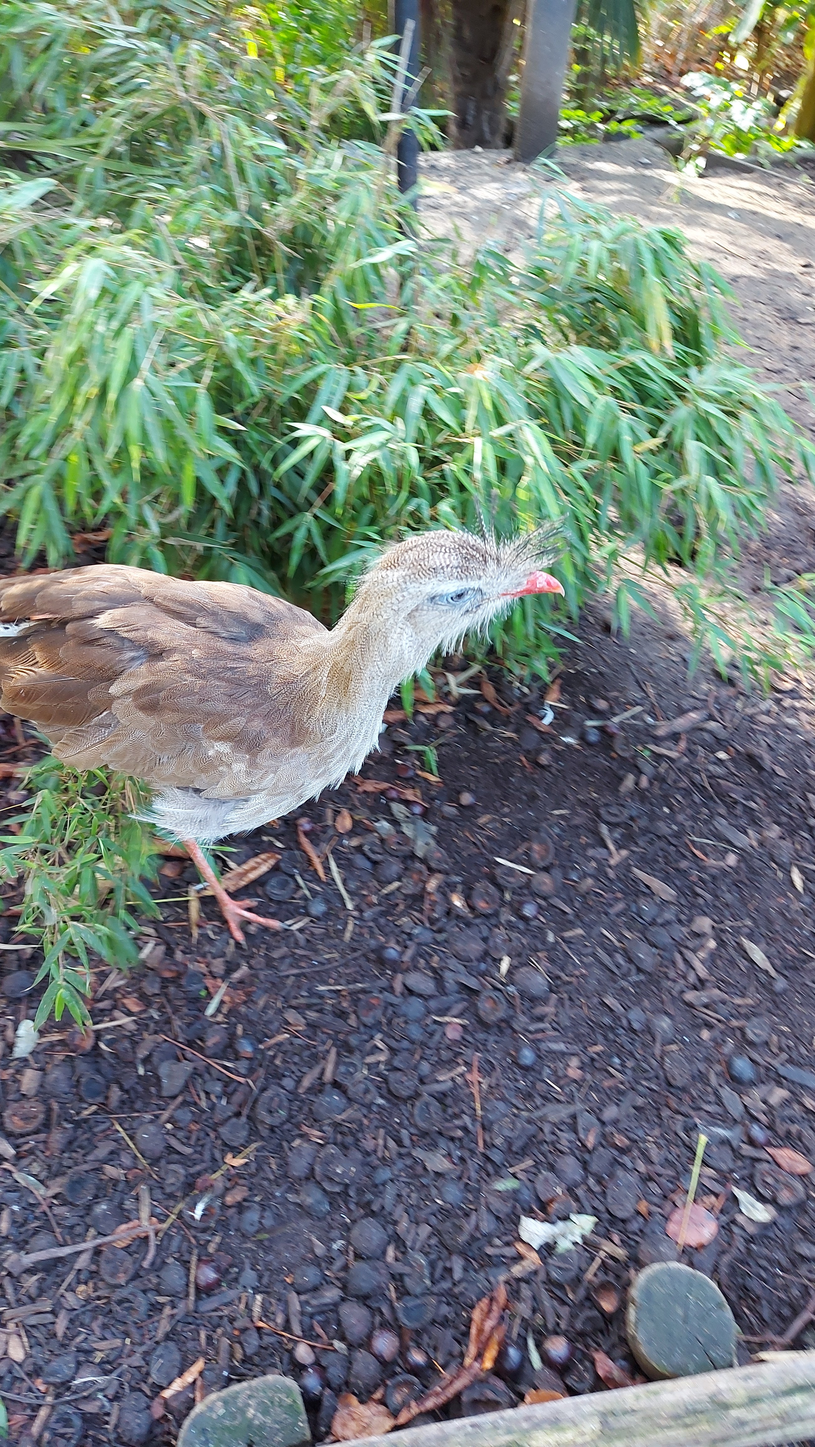 Photo n° 4 de l'avis de Jean-Luc.a fait le 28/10/2022 à 07:36