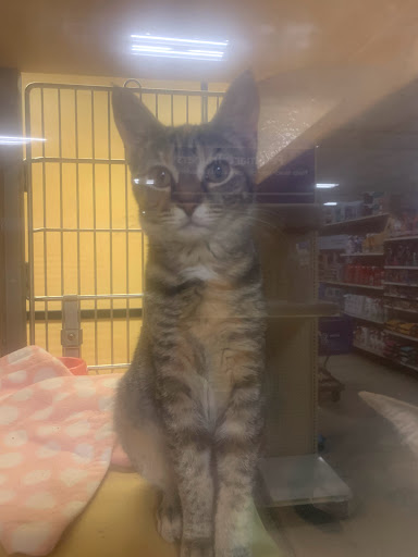 Pet Supply Store «PetSmart», reviews and photos, 1521 Golden Gate Plaza, Mayfield Heights, OH 44124, USA