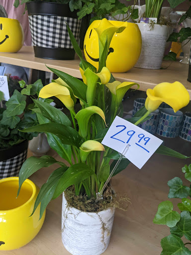 Florist «Garden Fantasy on Main», reviews and photos, 210 Main St, Belleville, MI 48111, USA