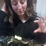 Photo n°4 de l'avis de Melania.u fait le 25/02/2019 à 12:11 sur le  Da Enrico Ristorante Pizzeria à Signa