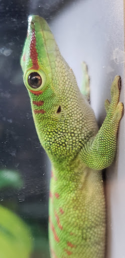 Pet Supply Store «Petco Animal Supplies», reviews and photos, 2575 Fairview Ave N, Roseville, MN 55113, USA