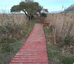 Zandvlei Estuary Nature Reserve photo
