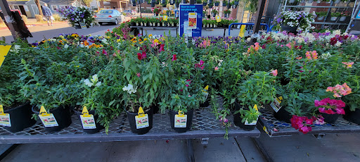 Electronics Store «Best Buy», reviews and photos, 13711 W Bell Rd, Surprise, AZ 85374, USA