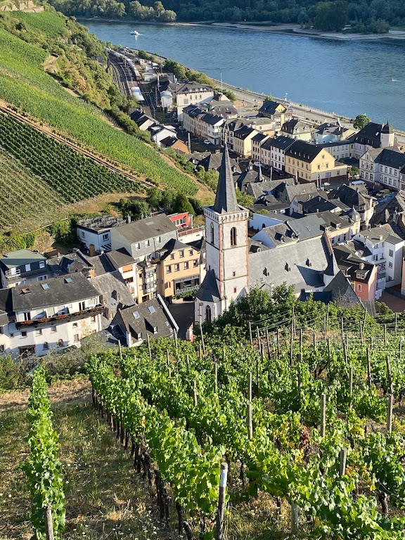 Weingut August Kesseler