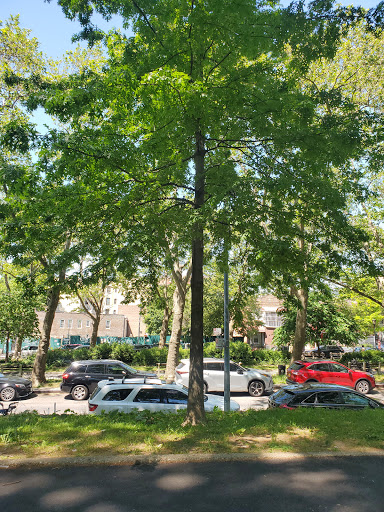 Park «Claremont Park», reviews and photos, Clay Ave & E. 170 St, Bronx, NY 10457, USA